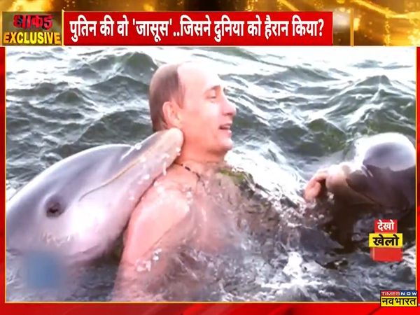 Dolphins are Russia's 'third eye' in the Black Sea, Putin's 'military trend dolphin' spying