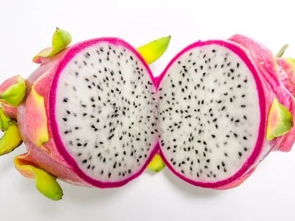 Dragon fruit Benefits 