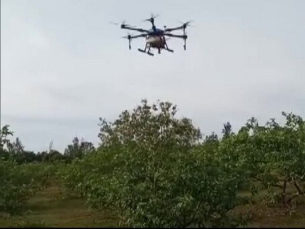 Noida Administration