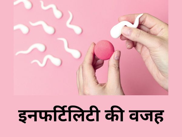 Effect of Alcohol On Fertility