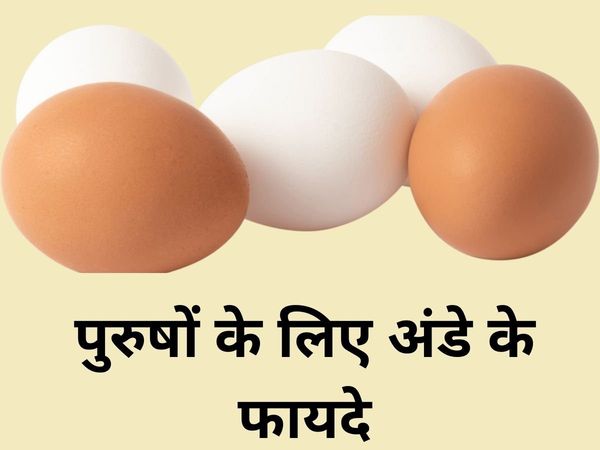 Eggs Benefits for Men