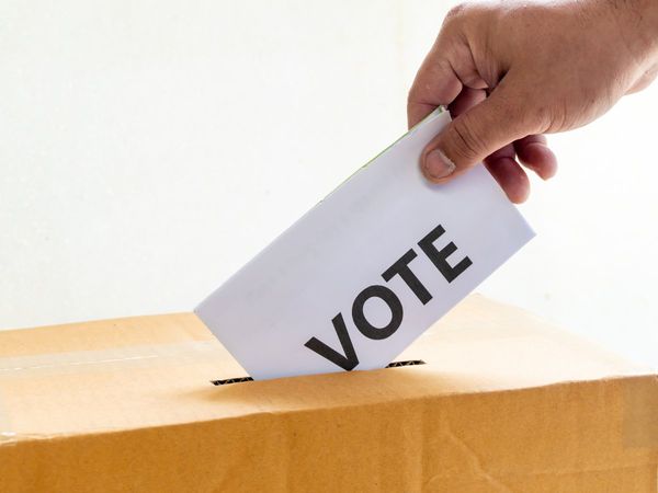 MP Panchayat Election