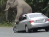 Elephant Attack on Car Then What Happened Watch Viral Video
