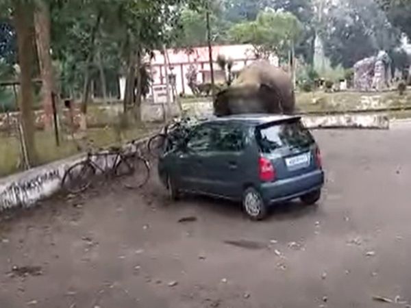 Angry Elephant Attack on Car Funny Video Goes Viral