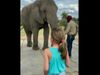 Elephant And little baby Cute Video Goes Viral on Social media