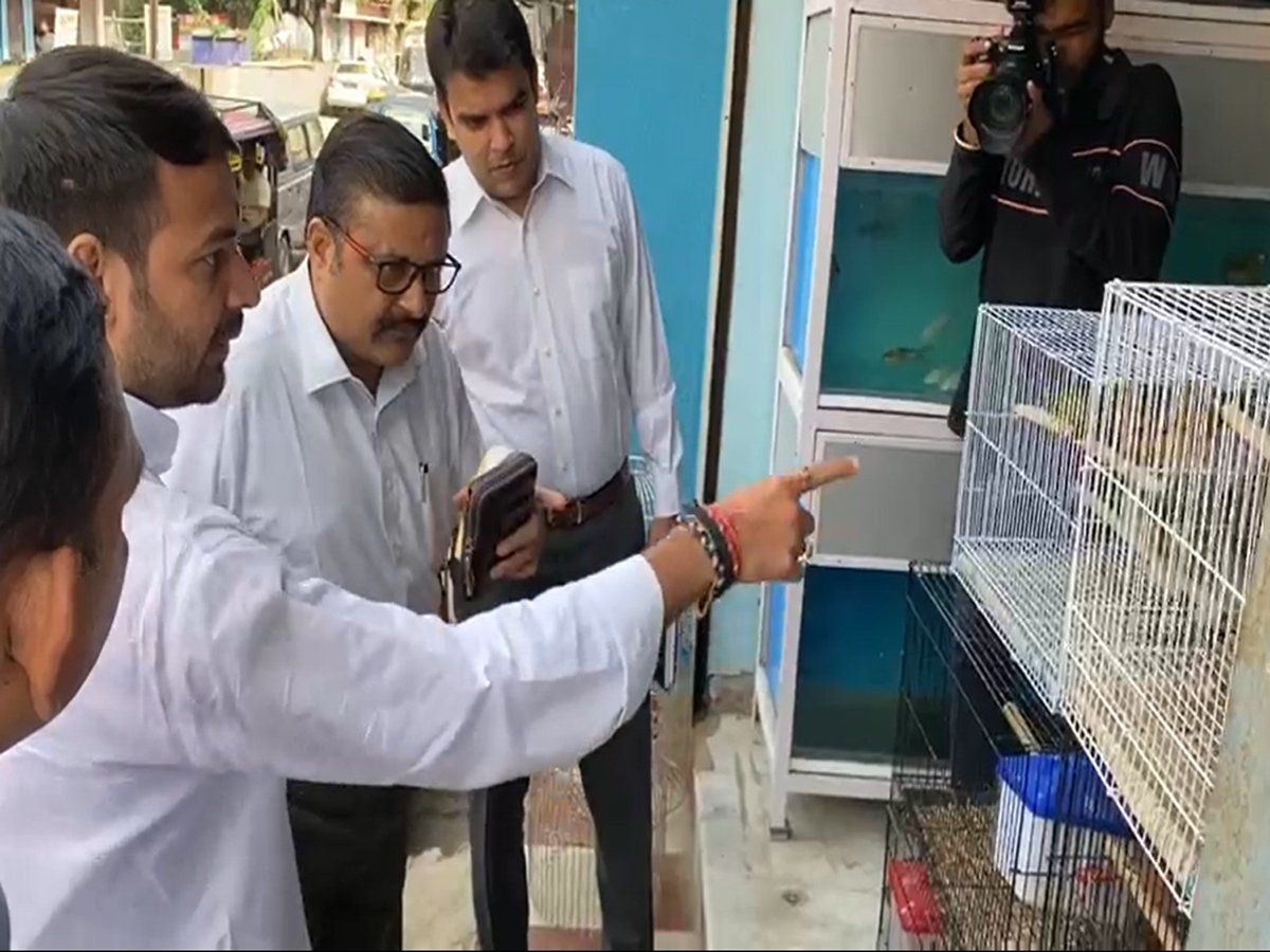 बिहार के पर्यावरण मंत्री तेज प्रताप यादव ने पिंजरे में बंद पक्षियों और जानवरों को किया आजाद, तस्करों को दी चेतावनी