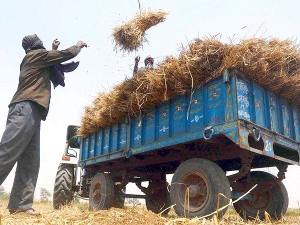 Muzzafrnagar Ground Report