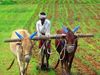 Crop Insurance scheme: मोदी सरकार के इस फैसले से करोड़ों किसानों की भर जाएगी झोली
