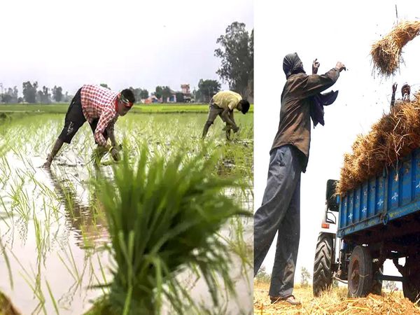 FARMING INDO PAK BORDER