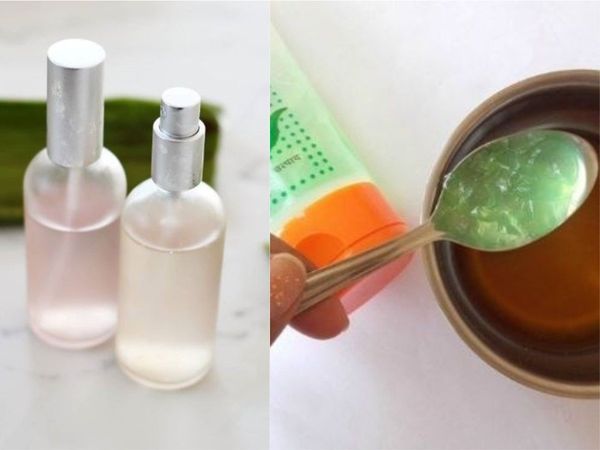 Easy DIY Aloe Vera Face Mists