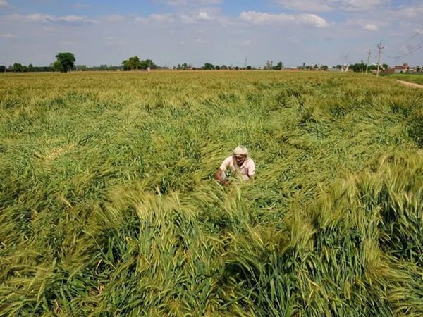 farmer donates entire life savings