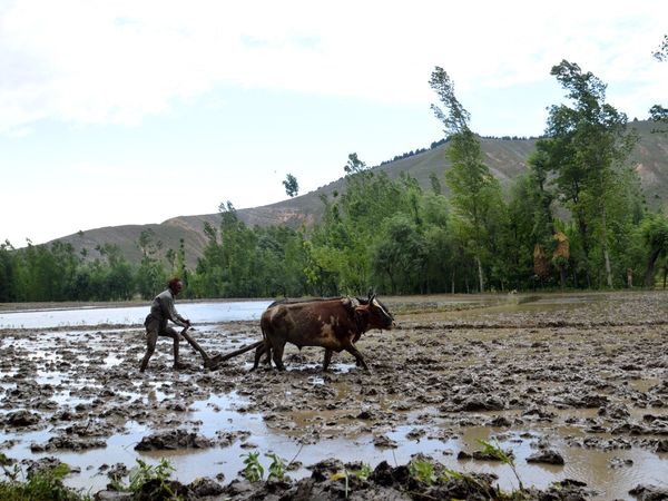 PM Kisan Yojana: Kisan Credit Cards issued to 70.32 lakhs more farmers, you can avail such benefits
