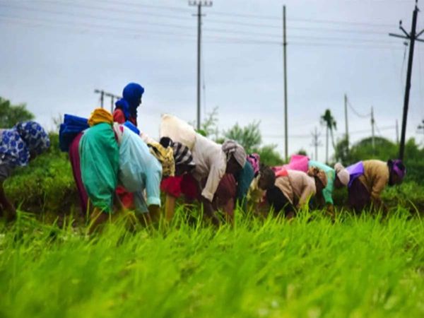 Varanasi Farmers