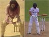 Fawad Alam batting stance meme