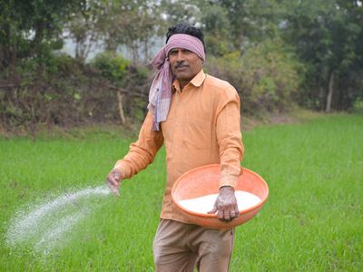 All subsidized fertilizers like urea, DAP will be sold under the brand name of 'Bharat' from October