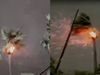  Palm tree caught fire after lightning struck the tree at Jale in Darbhanga
