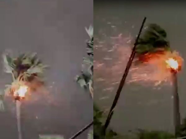 Palm tree caught fire after lightning struck the tree at Jale in Darbhanga