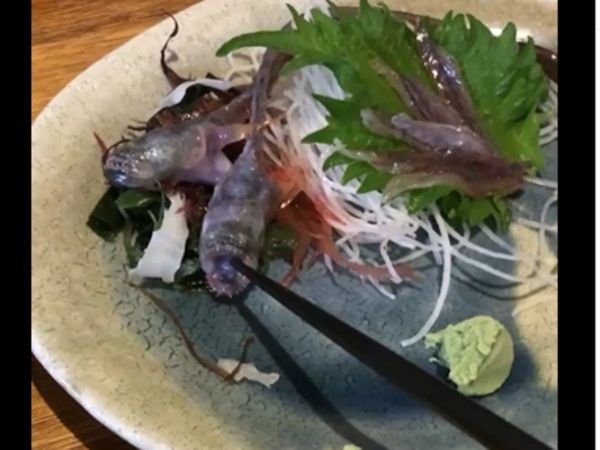 Shocking Video fish suddenly became alive in the food plate People Shocked