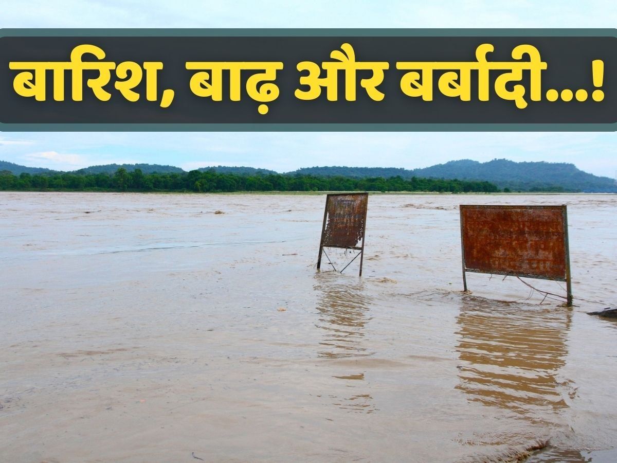 गांव-गली और शहर, लहरों का ऐसा कहर! MP-हिमाचल समेत 8 सूबे बारिश से हलकान, कहीं डूबे घाट तो कहीं घरों को नुकसान