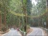 First eco bridge made by forest department for snake and pythons in Uttarakhand