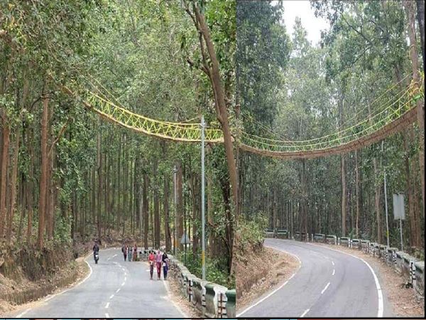 First eco bridge made by forest department for snake and pythons in Uttarakhand