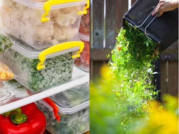 Food Storage Tips During Lockdown