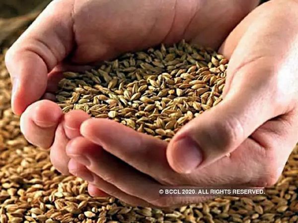 Govt says 0ver 39 crore got free foodgrain under PM Schem for April