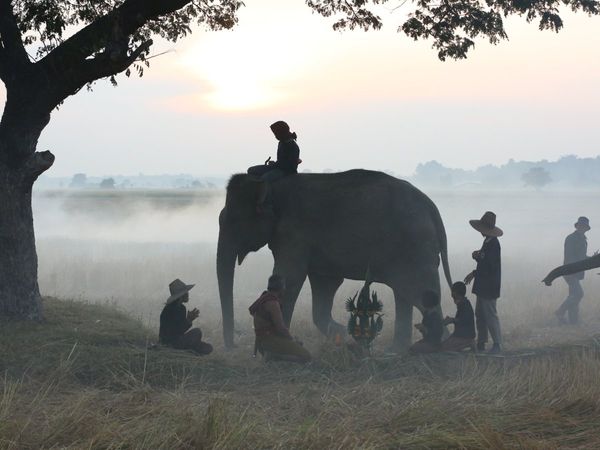 Forest And Wildlife course and career
