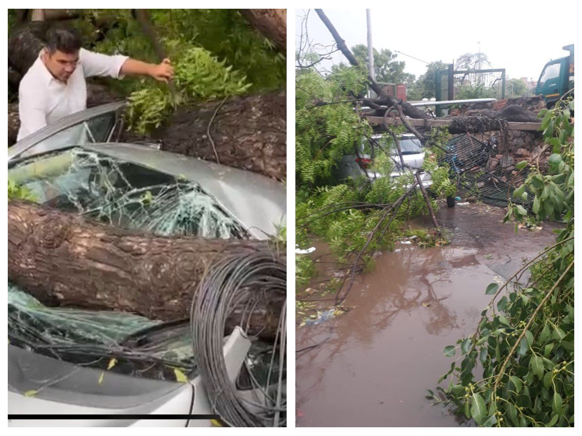 Delhi Rains:राजपथ से लेकर जामा मस्जिद तक आंधी-बारिश से आफत, तस्वीर और वीडियोज में देखें दिल्ली की बदहाली