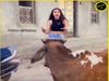 Girl Making Video in front Of Bull Then What Happened watch funny video