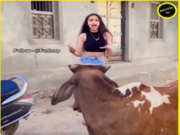 Girl Making Video in front Of Bull Then What Happened watch funny video