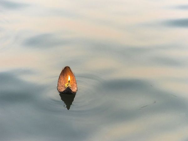 Pollution in Ganga Yamuna