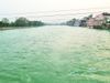 GANGA JI_HARIDWAR