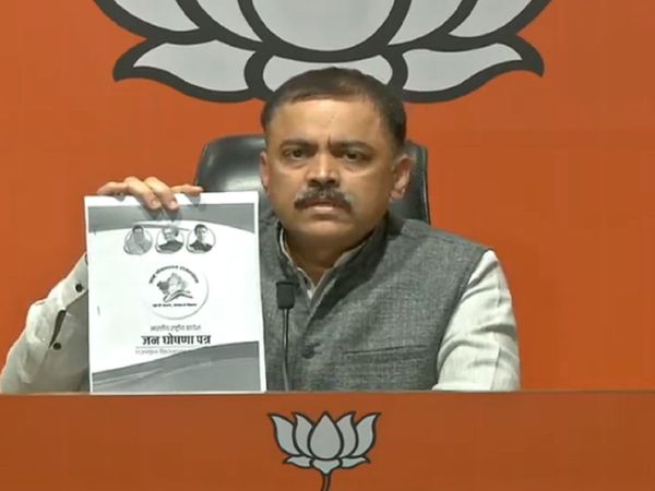 BJP on CAA says Congress is working against the national interest, 