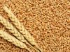 Grains