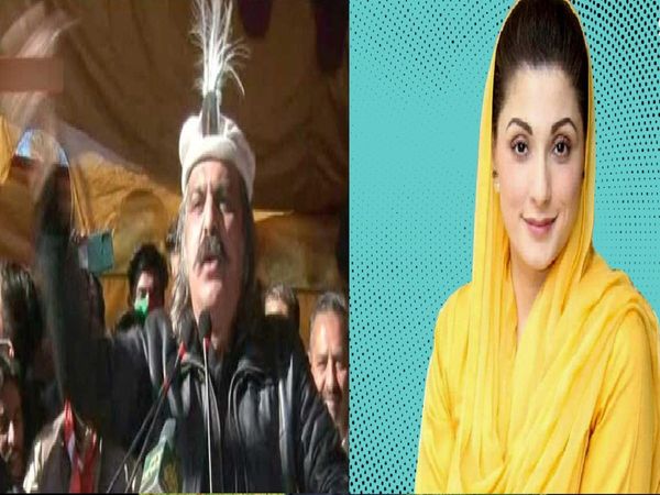 Ali Amin Gandapur on Maryam Nawaz says her beauty was due to several surgeries she got using taxpayers' money
