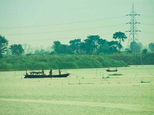 Namami Gange Project, Yogi Adityanath government, campaign to make Ganga pollution free, fishes will be released in Ganga,