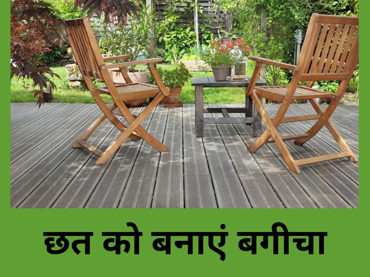 Gardening Tips: घर की छत को बनाना चाहते हैं हरा-भरा, ये टिप्स आ सकते हैं आपके काम