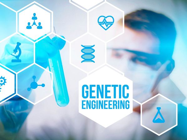 Genetic Engineering 