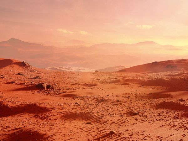 Life on Mars: मंगल पर फिर मिले जीवन के संकेत, प्रोफेसर का दावा- मक्खियों, सांपों से मिलती है आकृति