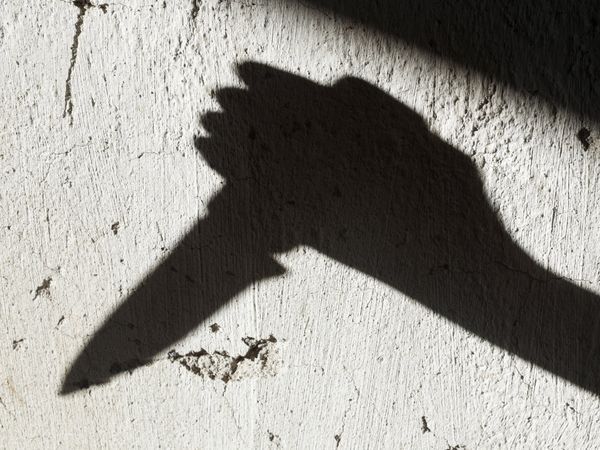 Delhi Crime: सास-बहू में अफेयर का था शक, बुजुर्ग ने पत्‍नी और बहू को चाकुओं से गोदकर मार डाला