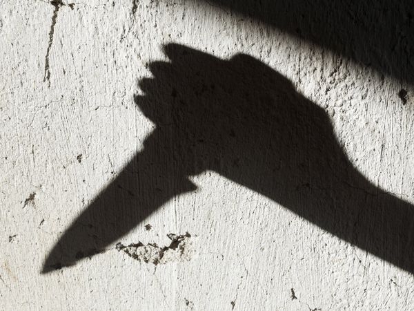 Pune man murders third-wife after heated argument