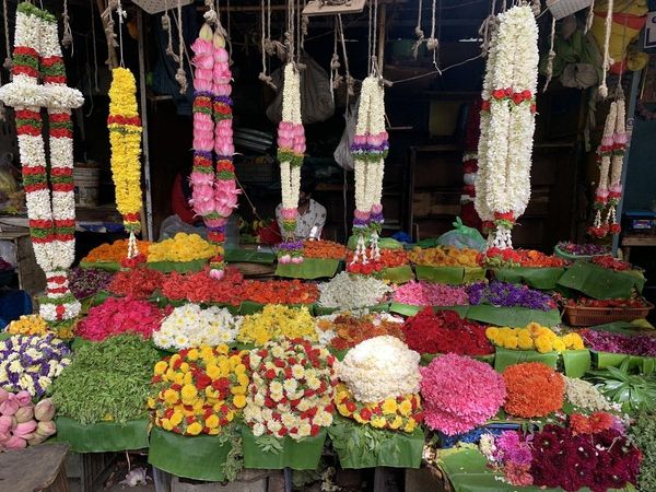 Ghazipur Flower Market News