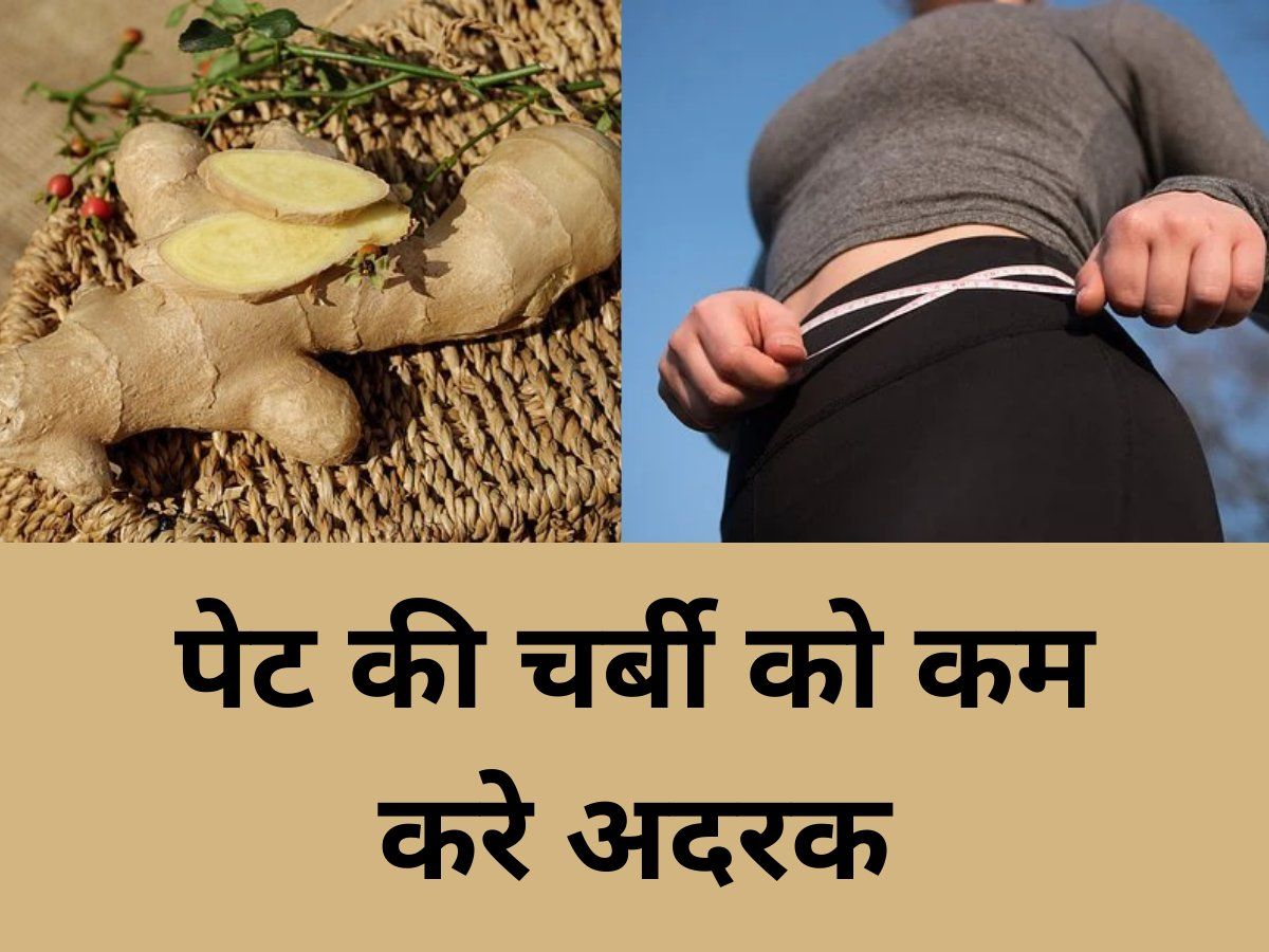 Ginger And Weight Loss Ginger for Weight Loss Benefits How to Use It चर्बी को मोम की तरह