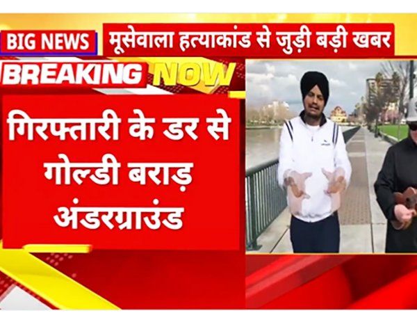 Moosewala Murder: गिरफ्तारी के डर से गोल्डी बराड़ उर्फ डॉक्टर हुआ अंडरग्राउंड-Video