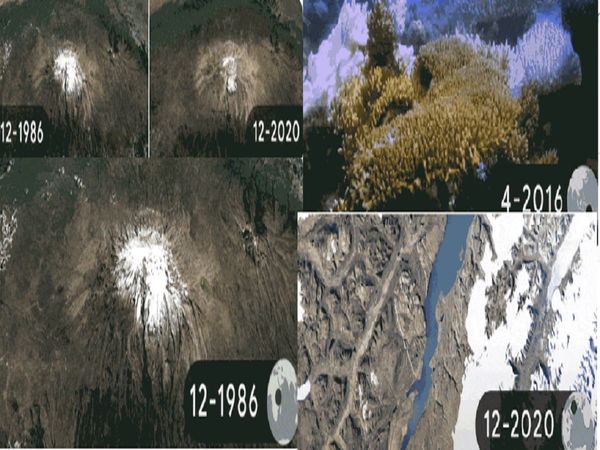 Google Doodle shows impact of climate change on Earth Day 2022