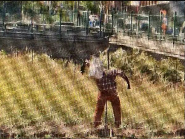 Man Find Dead Boy on Google Map Know About Truth Viral Photo