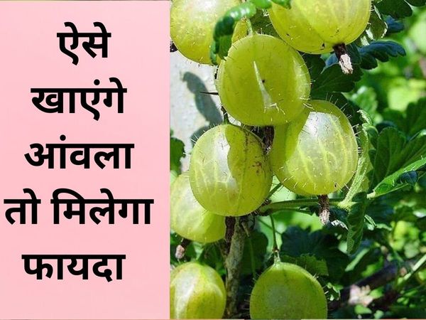 Benefits Of Gooseberry