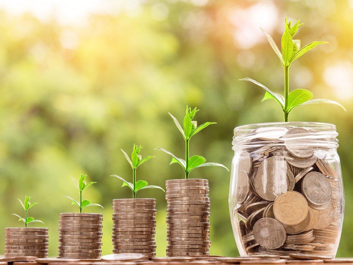 Green Fixed Deposit : ग्रीन फिक्स्ड डिपॉजिट के बारे में जानिए, ये है क्या, कैसे करें निवेश