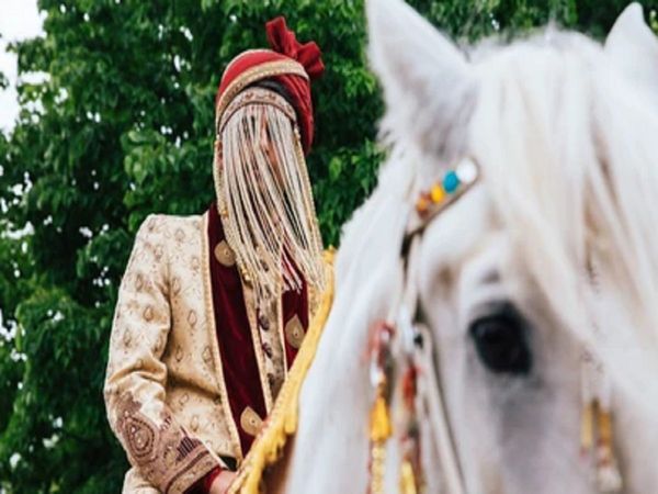 The seven grooms arrived at the wedding procession together, nor did the bride meet her father-in-law
